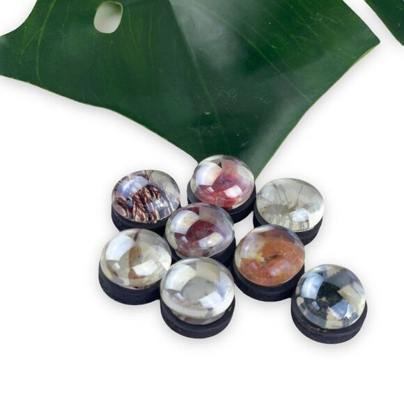 Handmade Glass Sea Creature Magnets  🐙🐠🐋 - Picture 1 of 7